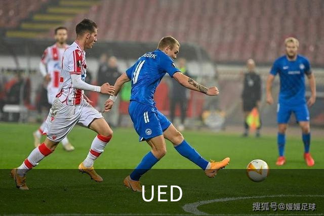 UED公司介绍